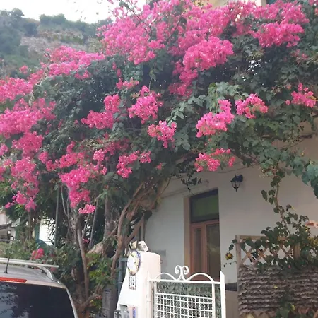 Apartamento Casa Aurora - Only Two Steps To Access *